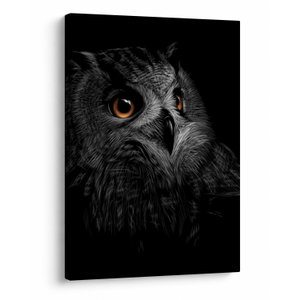 Obraz - Sova, ilustrace (V023618V5070)