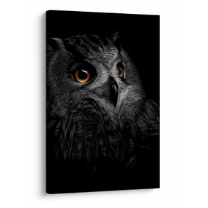 Obraz - Sova, ilustrace (V023618V6090)
