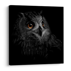 Obraz - Sova, ilustrace (V023618V7070)