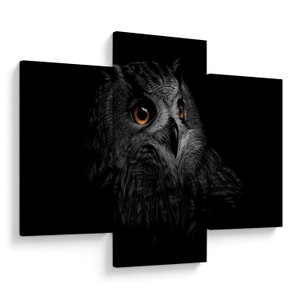 Obraz - Sova, ilustrace (V023618V90603PCS)