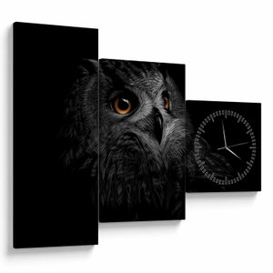 Obraz - Sova, ilustrace (s hodinami) (V023618V9070C)