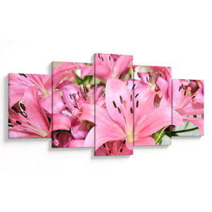 Obraz - Růžové lilie (V023756V150805PCS)