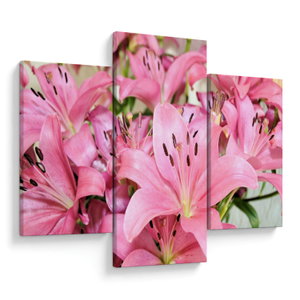 Obraz - Růžové lilie (V023756V90603PCS)