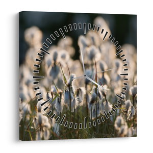 Obraz - Bílý suchopýr (s hodinami) (V023775V3030C)