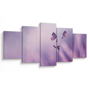 Obraz - Fialoví motýlci (V023913V150805PCS)