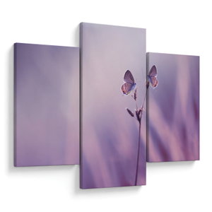 Obraz - Fialoví motýlci (V023913V90603PCS)