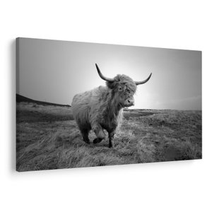 Schilderij - Schotse hooglander - koe, zwart-wit