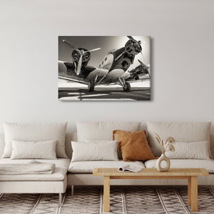 Schilderij - Historisch vliegtuig (4)