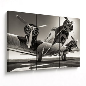 Schilderij - Historisch vliegtuig (V024147V120803PCS)