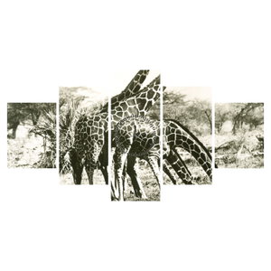 Obraz - Žirafy, vintage (s hodinami) (6)