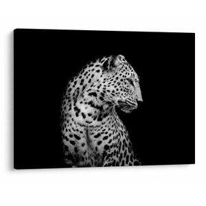 Obraz - Leopard