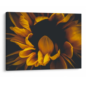 Schilderij - Zonnebloemen op zwarte achtergrond