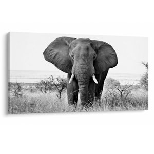 Schilderij - Afrikaanse olifant II.