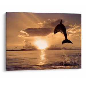 Schilderij - Dolfijn bij zonsondergang
