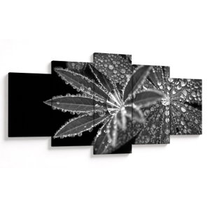 Obraz - Kvapky (V024364V150805PCS)