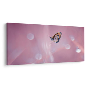 Obraz - Motýl (V024442V200100)