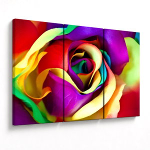 Kép - Színes rózsa (V024621V120803PCS)