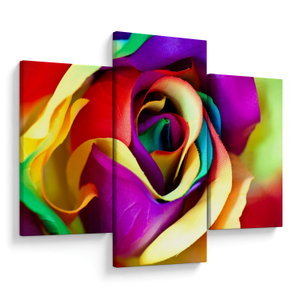 Kép - Színes rózsa (V024621V90603PCS)