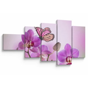 Obraz - Motýl na květech orchideje, lila (V024625V11060)