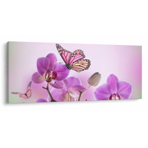 Obraz - Motýl na květech orchideje, lila (V024625V12050)