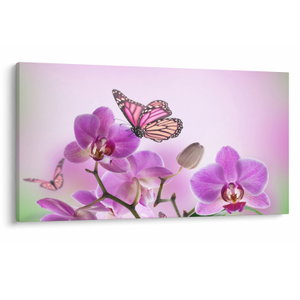 Obraz - Motýl na květech orchideje, lila (V024625V12070)