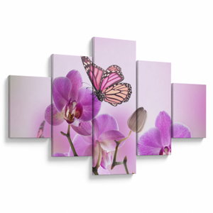 Obraz - Motýl na květech orchideje, lila (V024625V12570)