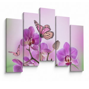 Obraz - Motýl na květech orchideje, lila (V024625V12590)