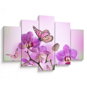 Obraz - Motýl na květech orchideje, lila (V024625V150105)