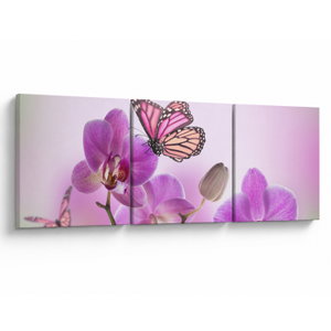 Obraz - Motýl na květech orchideje, lila (V024625V15050)
