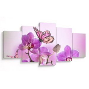 Obraz - Motýl na květech orchideje, lila (V024625V150805PCS)