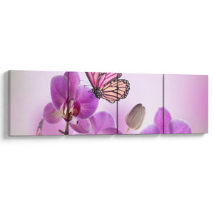 Obraz - Motýl na květech orchideje, lila (V024625V16040)
