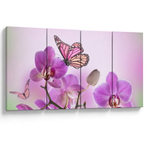 Obraz - Motýl na květech orchideje, lila (V024625V16080)
