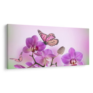 Obraz - Motýl na květech orchideje, lila (V024625V200100)