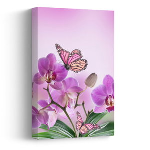 Obraz - Motýl na květech orchideje, lila (V024625V2030)