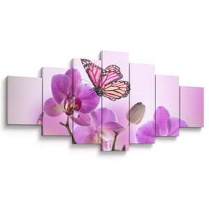 Obraz - Motýl na květech orchideje, lila (V024625V210100)