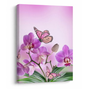 Obraz - Motýl na květech orchideje, lila (V024625V3040)