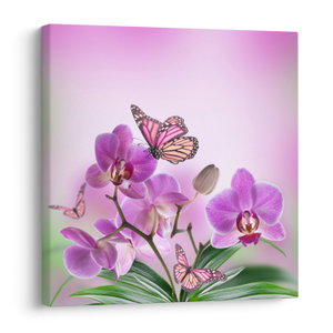 Obraz - Motýl na květech orchideje, lila (V024625V5050)