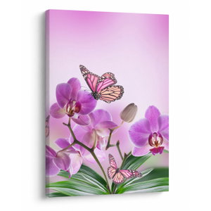 Obraz - Motýl na květech orchideje, lila (V024625V5070)