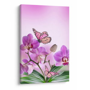Obraz - Motýl na květech orchideje, lila (V024625V6090)