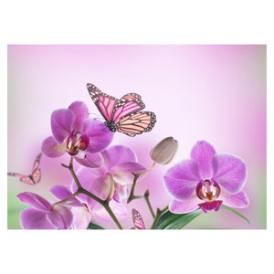Obraz - Motýl na květech orchideje, lila (6)