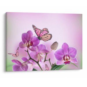Obraz - Motýl na květech orchideje, lila