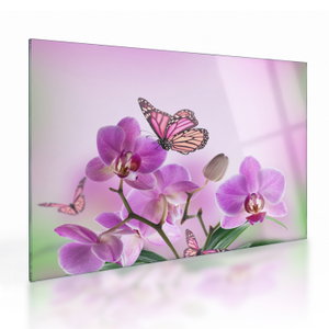 Skleněný obraz - Motýl na květech orchideje, lila (V024625V7050GD)