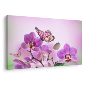 Obraz - Motýl na květech orchideje, lila (V024625V9060)