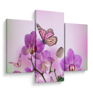 Obraz - Motýl na květech orchideje, lila (V024625V90603PCS)