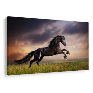 Schilderij - Paarden