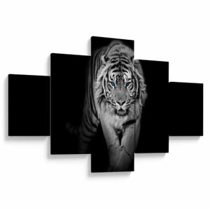 Obraz - Tiger s modrými očami