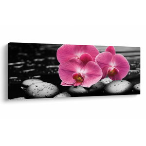 Obraz - Růžové orchideje (V024680V10040)