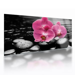 Skleněný obraz - Růžové orchideje (V024680V10050GD)