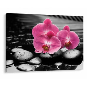 Obraz - Růžové orchideje (V024680V10070)
