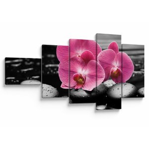 Obraz - Růžové orchideje (V024680V11060)